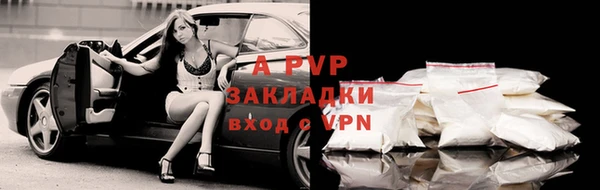 спайс Бородино