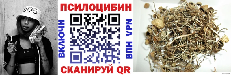 Купить закладки  Краснознаменск  Псилоцибиновые грибы GOLDEN TEACHER 